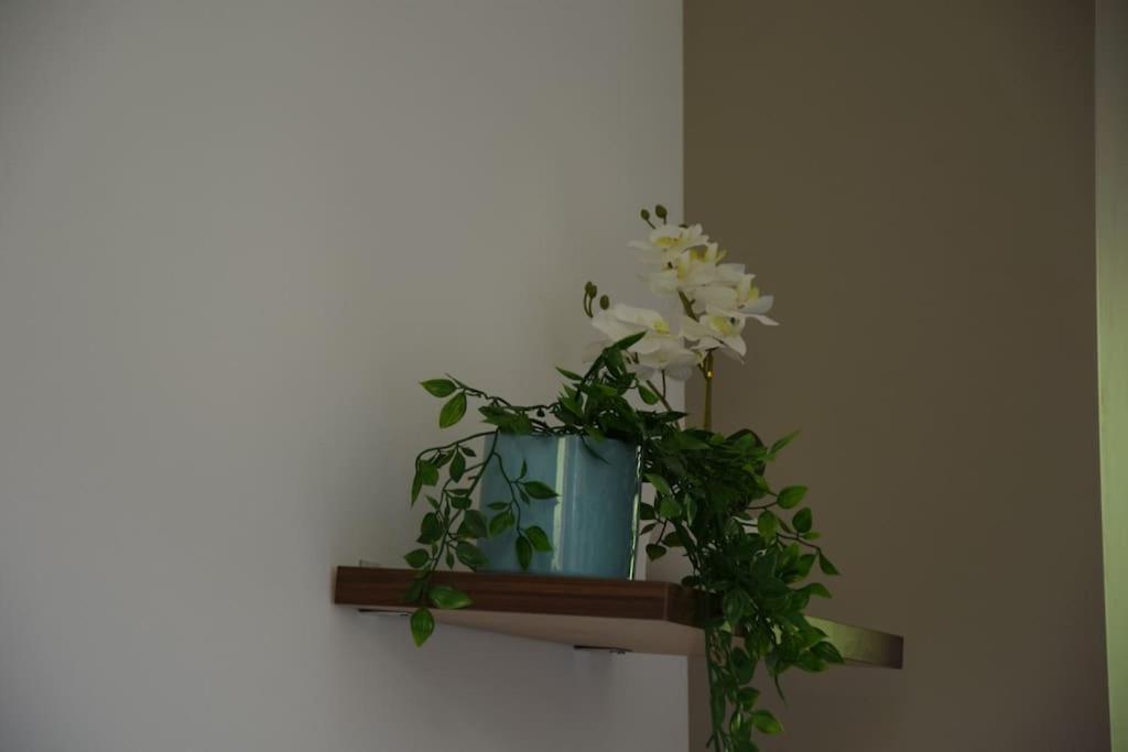 Appartement Elegant T2 A Bron, Tramway A 2Min, Box Parking, 4Personnes Extérieur photo